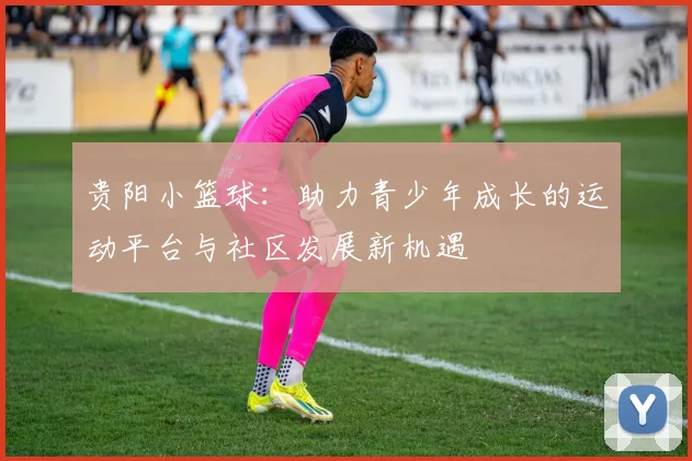 贵阳小篮球：助力青少年成长的运动平台与社区发展新机遇