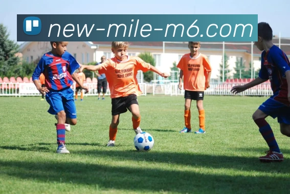 米乐体育官网平台生态图