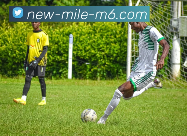 米乐体育官网全站App